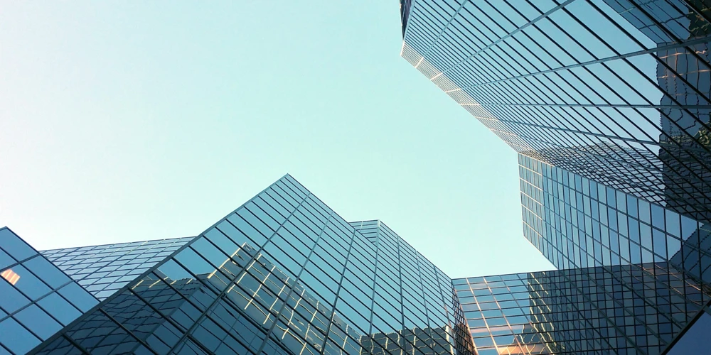 Zenus Embedded Finance non-regulated fintech